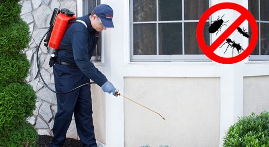 Ağlı Gümüşkurt İlaçlama böcek ilaçlama ve haşere kontrolü — ilaclama-tr.com